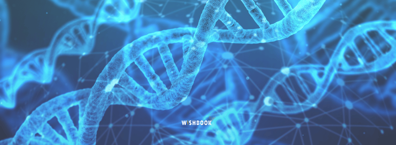 Protégez le résultat de votre test ADN numériquement.