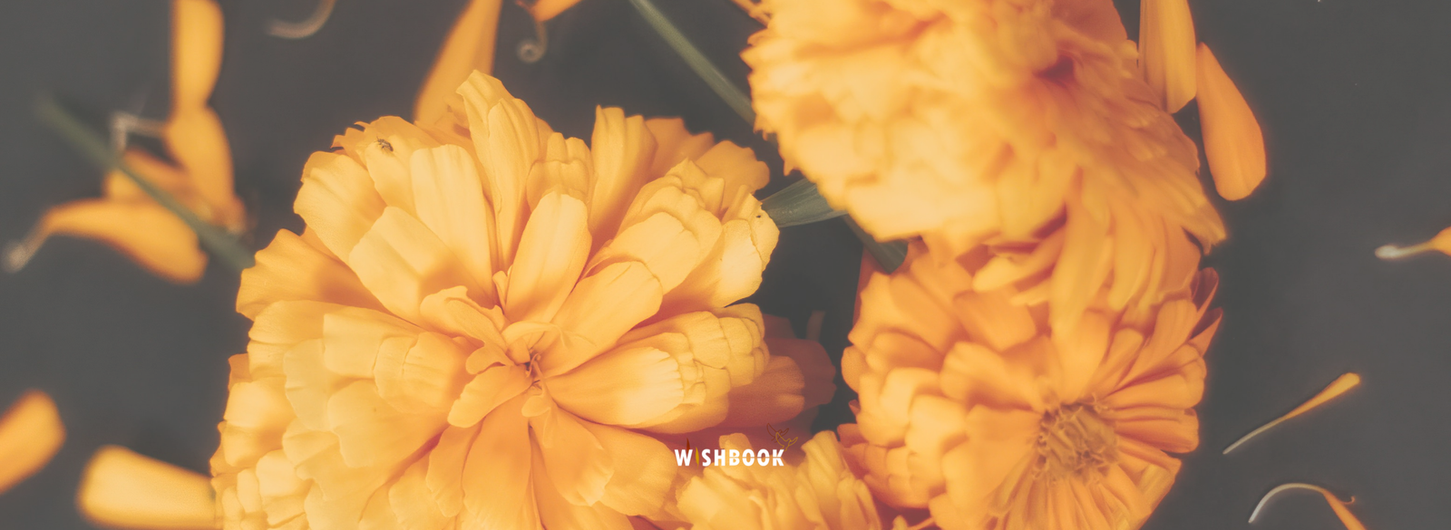 Idées originales pour animer des funérailles et rendre hommage à un défunt