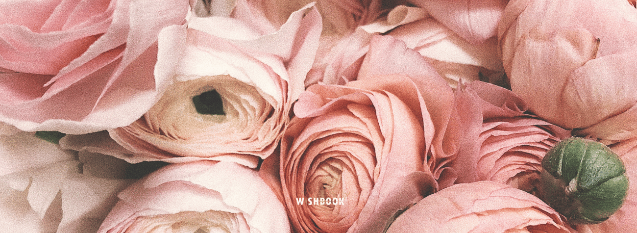 Sécurisez votre album de photos de famille en ligne avec Wishbook