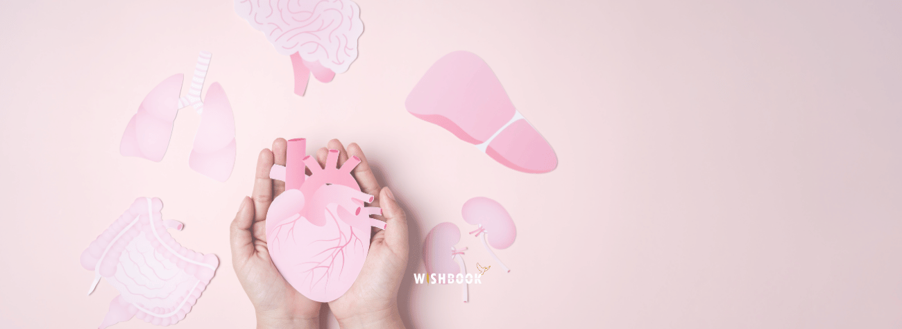 Dernières volontés : signaler sa volonté de don d'organe