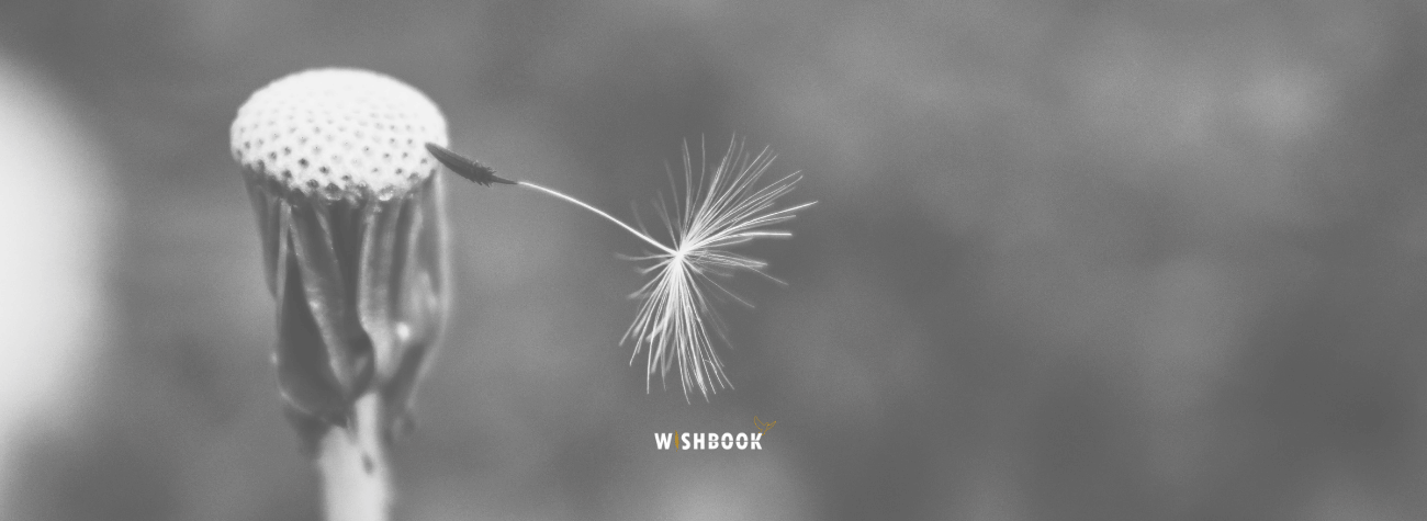 Étape inévitable de la vie : la mort et le deuil