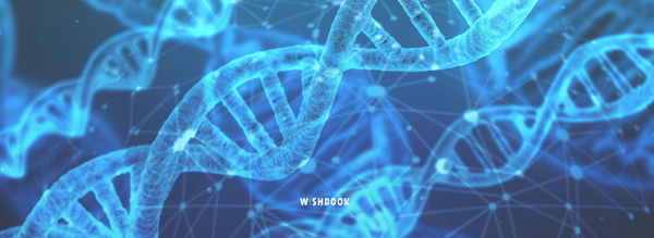 Protégez le résultat de votre test ADN numériquement.